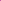 pinkpurple_dot (1K)